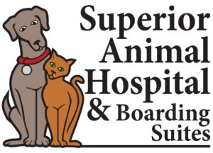 superior animal hospital 1